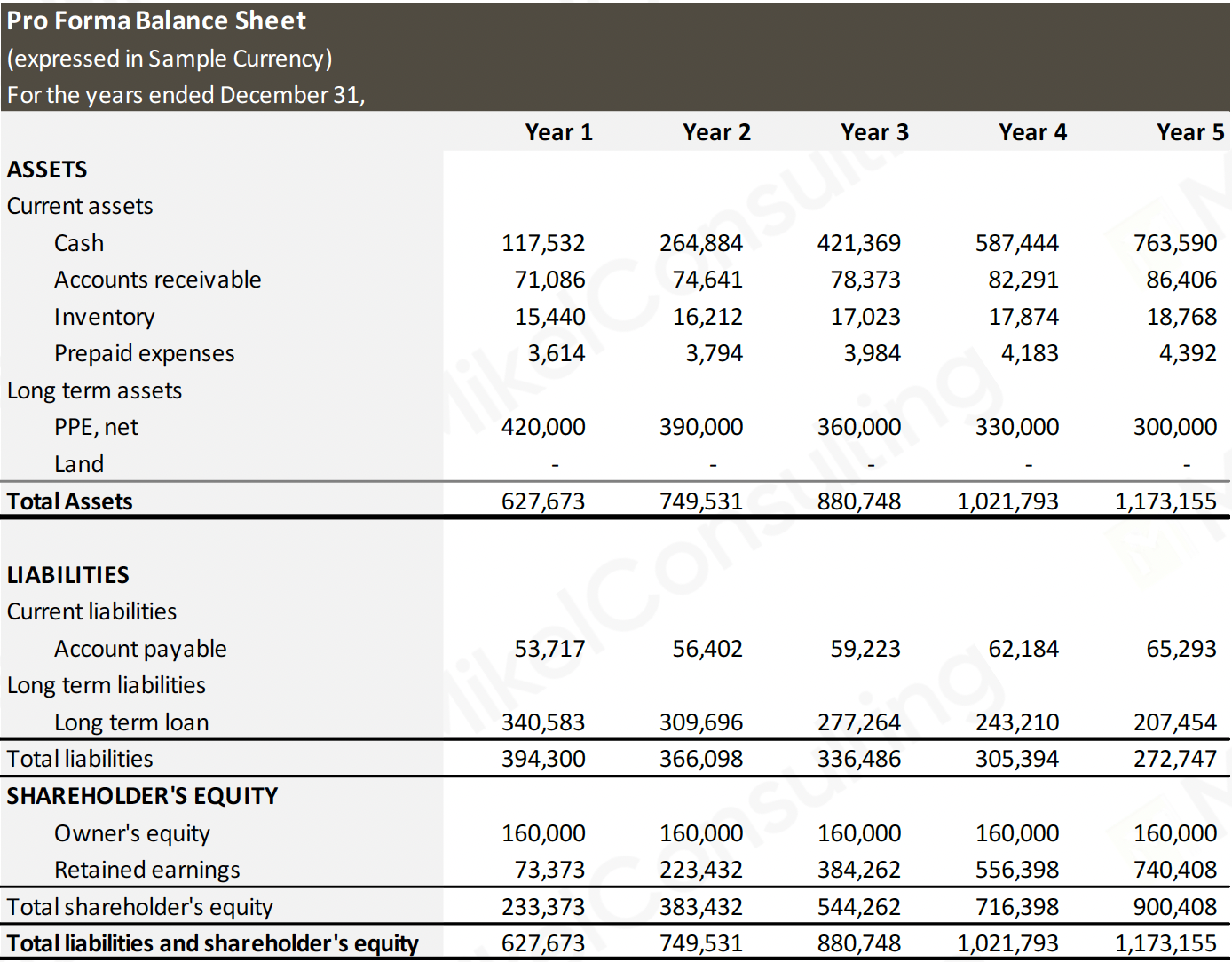How to Create Realistic Financial Projections for an SBA — Mikel Consulting